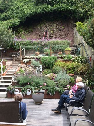 I have a cousin that lives in frisco so decided to call her up and swing by for a few moments to talk stories. Her and her husband were so sweet and we felt welcomed in their home, I would have never thought that such a back yard would exists in such a city!