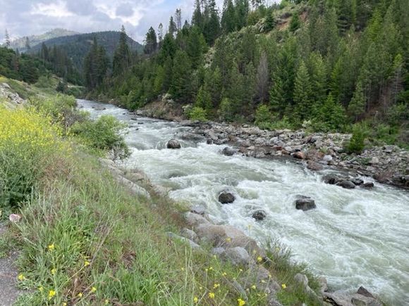 American River