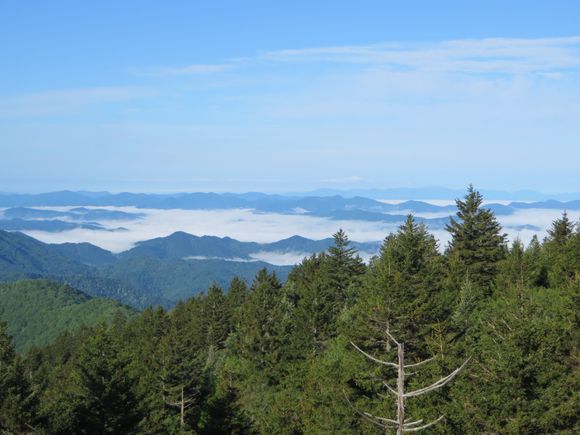 Beautiful views from the BRP