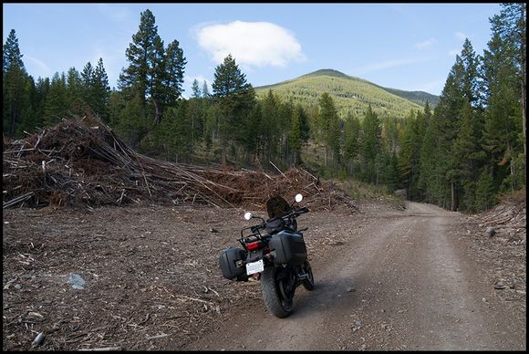 … heading up towards Mount Baker, which is just south of Cranbrook…