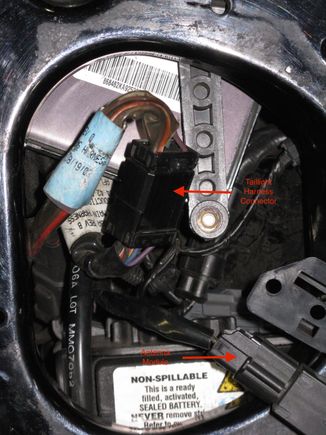 OEM Taillight harness and connector