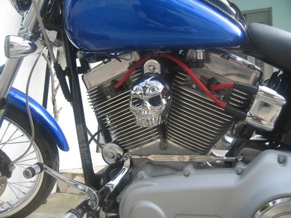 Skull Horn