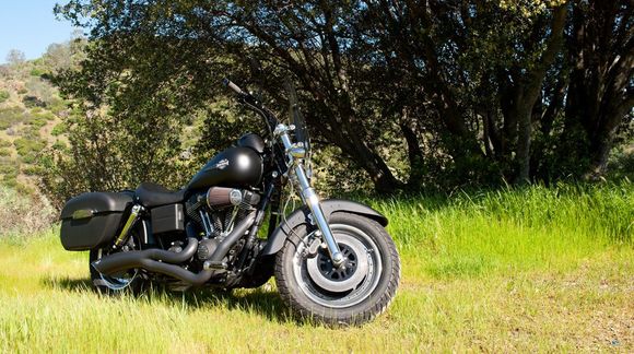 2010 Fat Bob