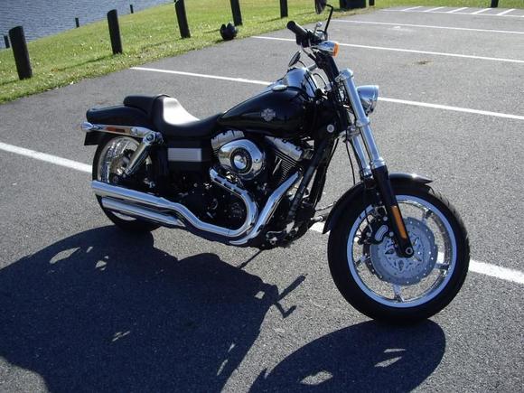 fat bob 5