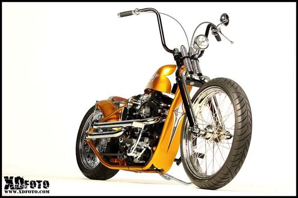 Buell Powered Bobber