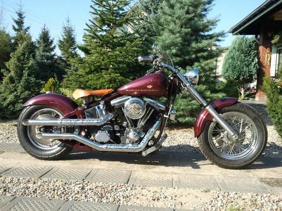 Softail's evolution (1)