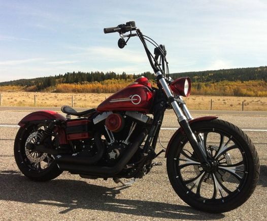 dyna