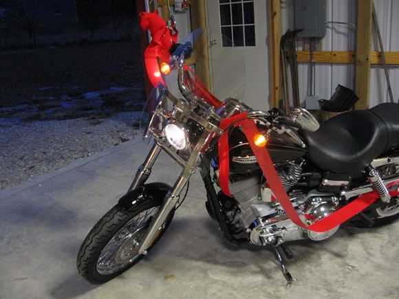 Harley 2