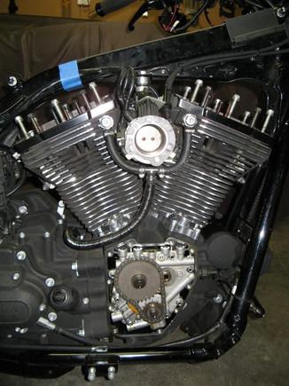 Reused OEM pushrods for cam swap, so drained removed tank to access top end. Also removed exhaust to access cam cover/cavity.