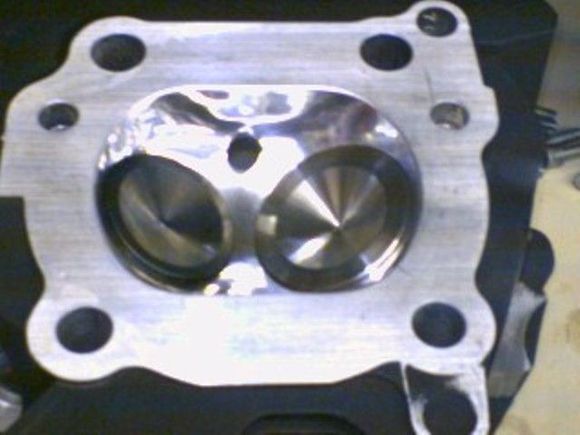 Polished heads by Branch