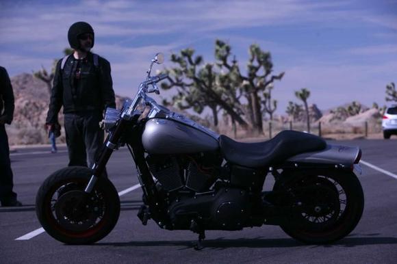 IMG 7878 01
yet another