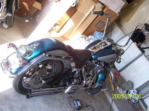 Here is the girl. She is coming along. Now I just need to finish healing to ride her, and ride her HARD!
