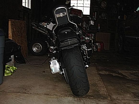 Kuryakyn curved plate mount, HD Tri-bar LED, smoked rear turn signal lens with red light bulbs.