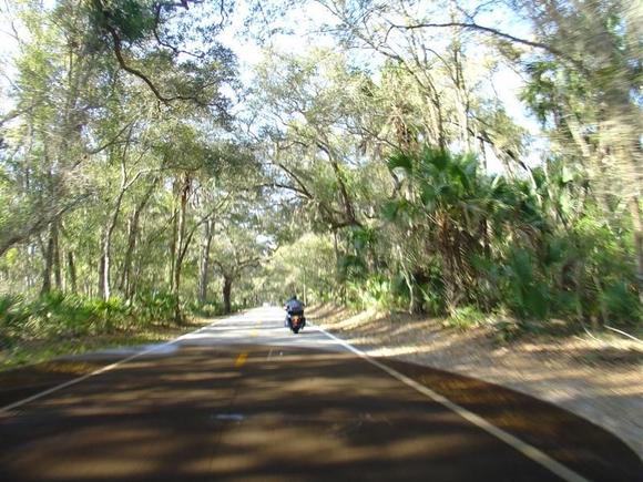 DSC00782
More scenic highway