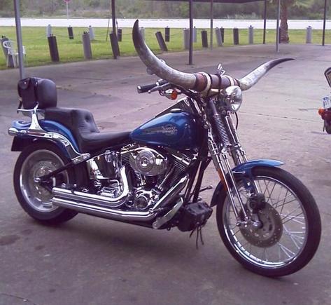 sts horns