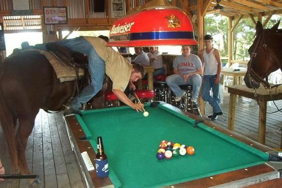 Pool on horseback.