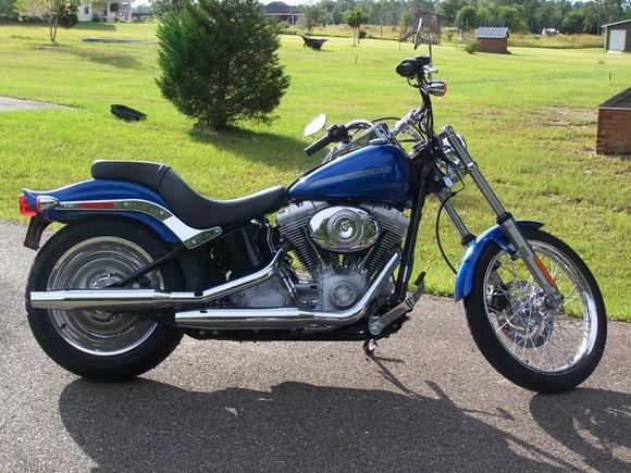 The day I brought her home