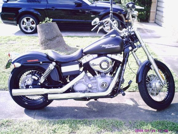 street bob 002
firt day bone stock