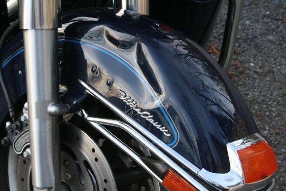 Fender where deer hit it or you could say it hit deer.