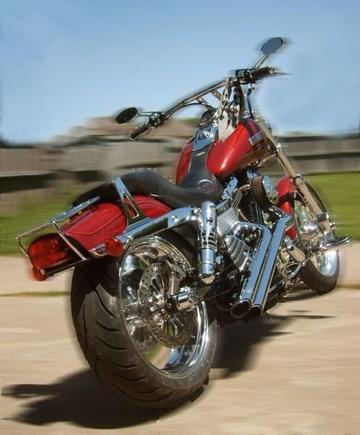 scott 021