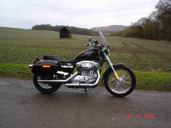 Harley Low 008