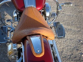 seat pic