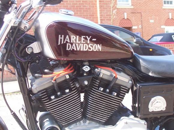 My Bike 2010 002
