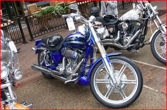 Chum's Ride (Told yah Chum)
