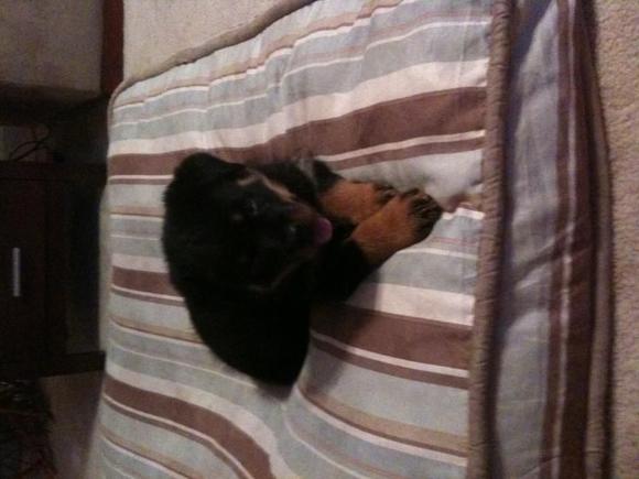 Just to cute to resist