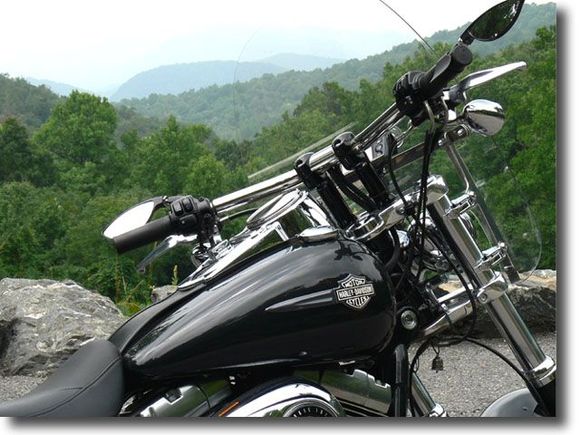 Joker Low Brows looking over the Blue Ridge