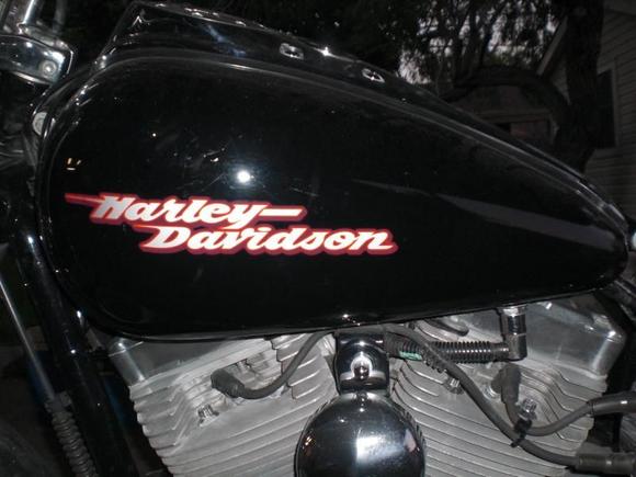 Tank before Rhinolining