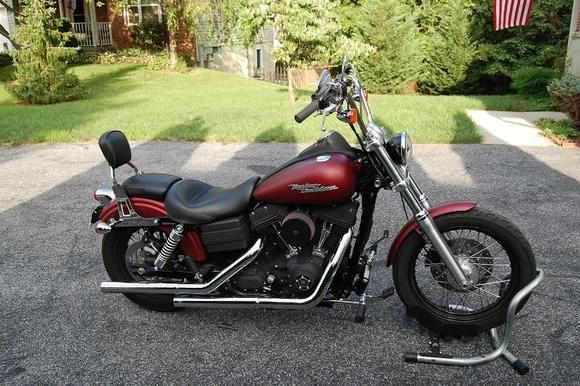 Street Bob 08-2010