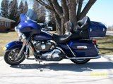 hog