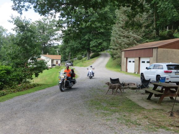 Mike & Dina rollin in.