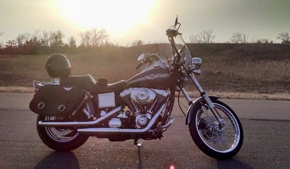 2003 FXDWG