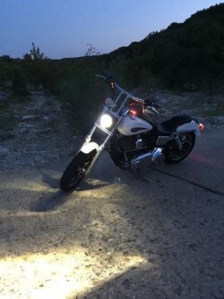 Recently bought Harley