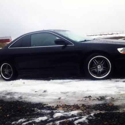 accord