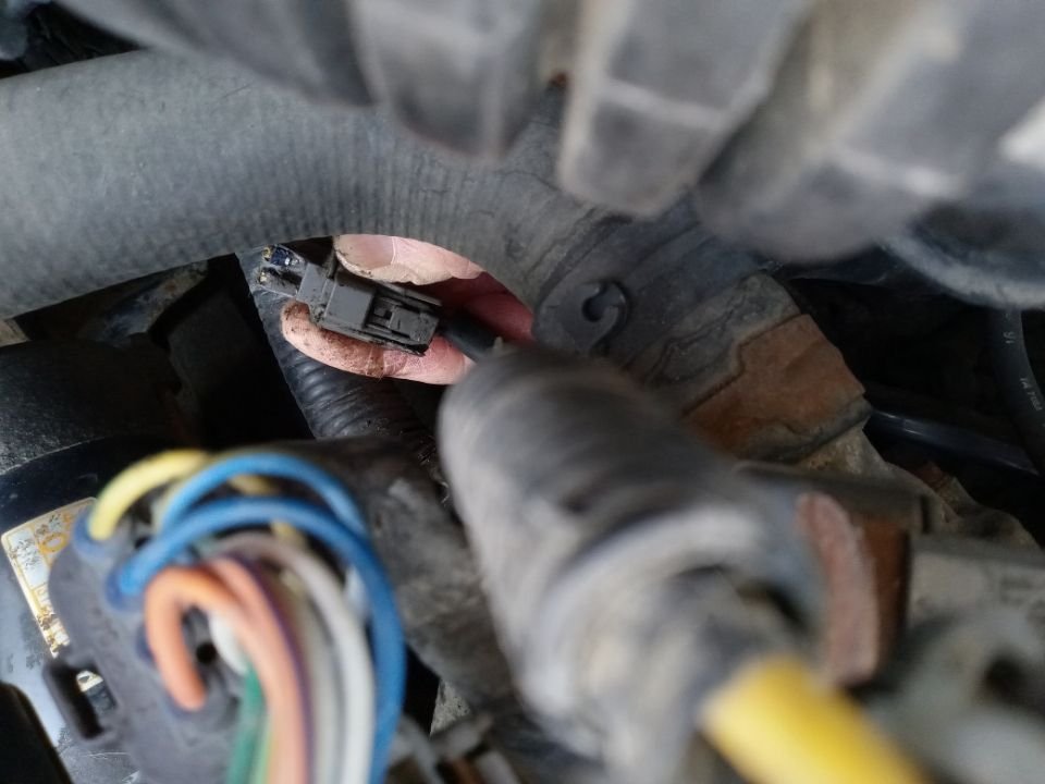 I found out where the other end of this chewed connector is. 