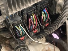 Wires uncovered, again from a 08 Alpha. If you have to snip one of the wires, I would do it in this fashion (giving yourself about 6-8 inches to safely reconnect the wire).  Don’t test the white wire as shown here (I was testing something else); look for the yellow and purple wires from the middle connector on pins 17/18 instead. 