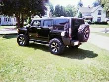 Black Beauty 6