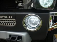 HID(head lights) and LED (frog lights)