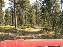 Logging Rd.