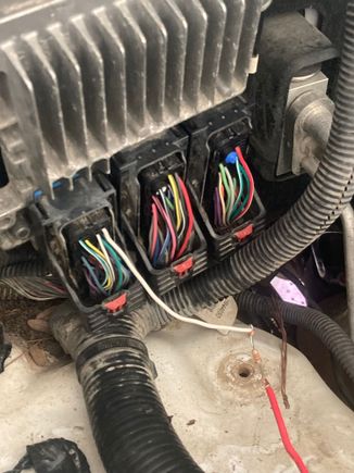 Wires uncovered, again from a 08 Alpha. If you have to snip one of the wires, I would do it in this fashion (giving yourself about 6-8 inches to safely reconnect the wire).  Don’t test the white wire as shown here (I was testing something else); look for the yellow and purple wires from the middle connector on pins 17/18 instead. 