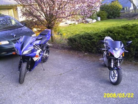 Yamaha R1 and Super Pocket Bike