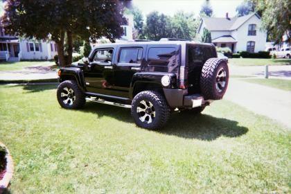 Black Beauty 6