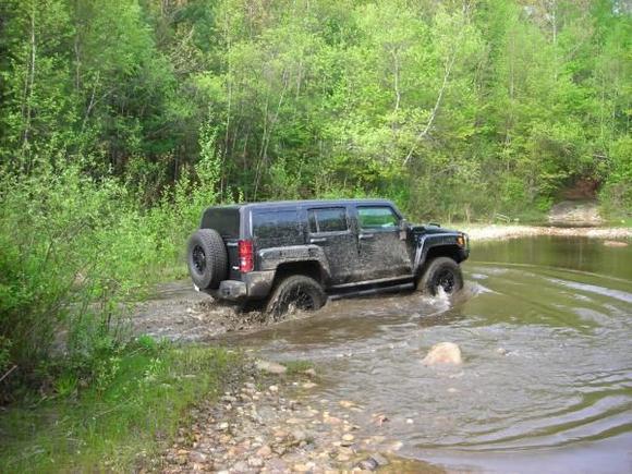Hummer 012