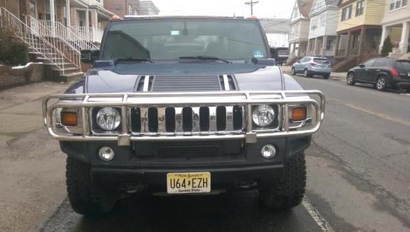 New Grill Guard