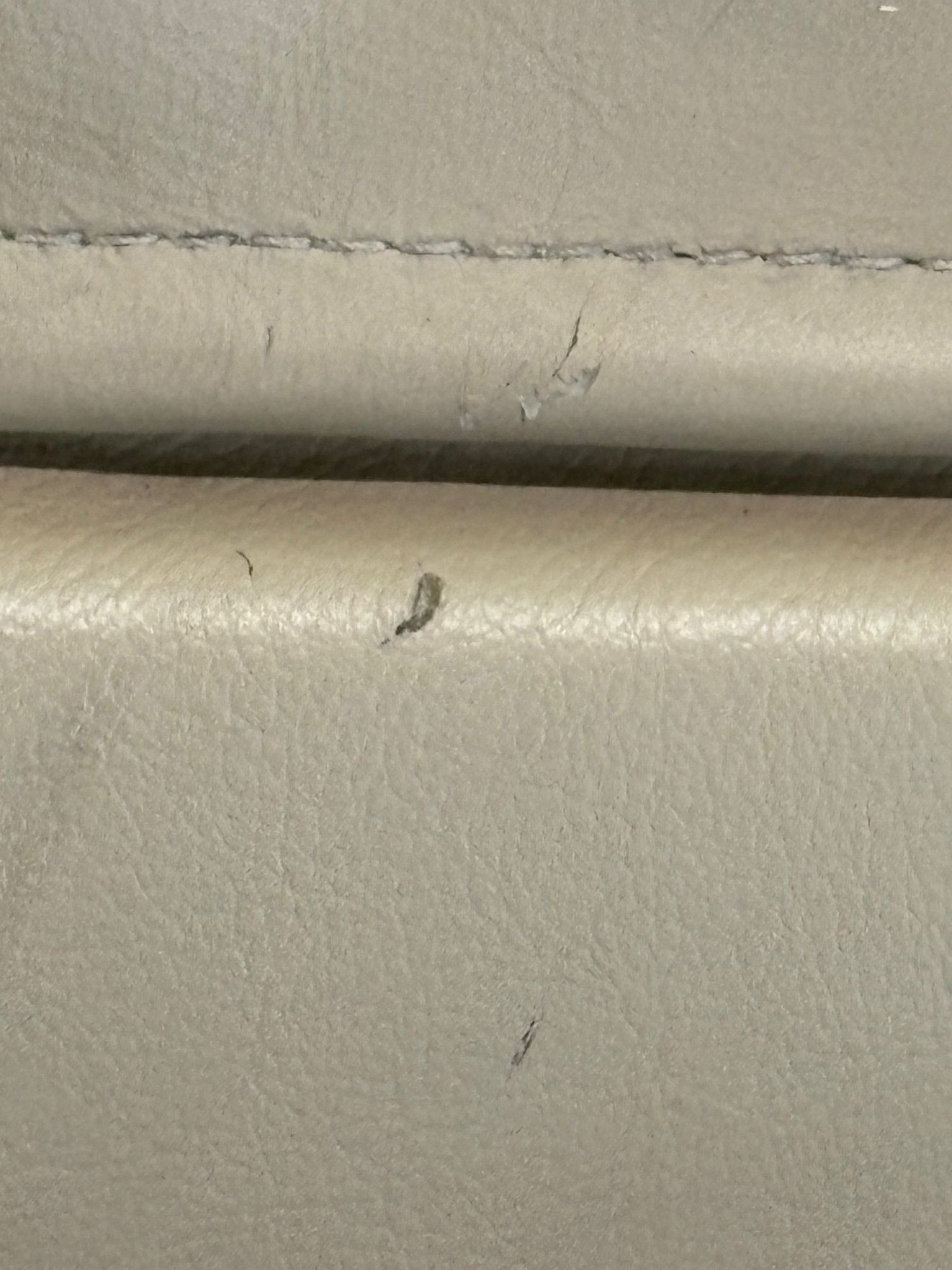 Interior/Upholstery - XJ8 X308 Left and Right Seat Backs for VDP or NON VDP's in Cashmere - Used - 1998 to 2003 Jaguar XJ8 - Tampa, FL 33707, United States