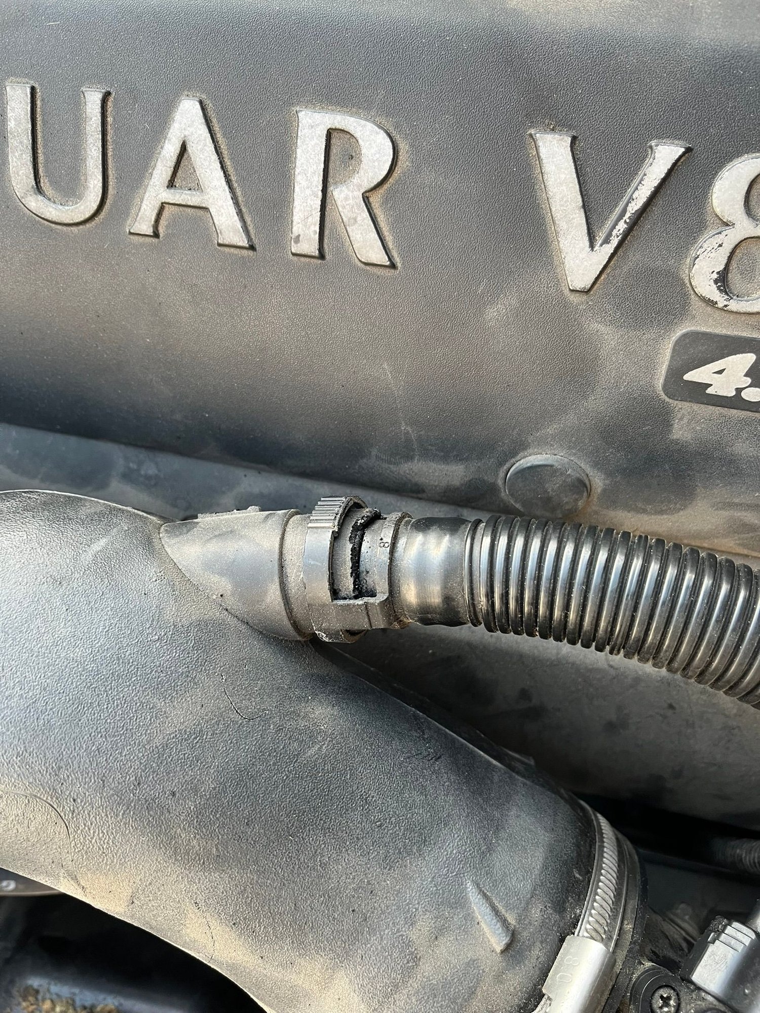 Hose on, it's loose. I can pull it out, I know you're supposed to be able to press the sides to pull it out, but that's not needed.