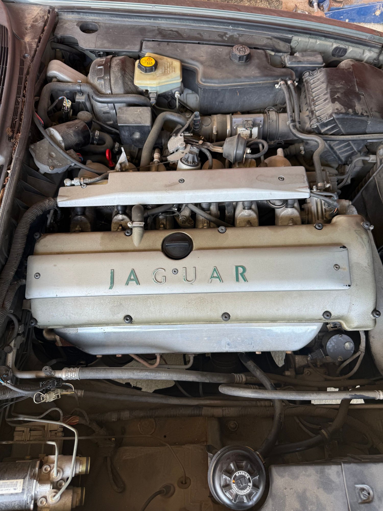 1995 Jaguar Vanden Plas - 1995 Jaguar Vanden Plas – $6,500 (or trade considered) - Used - VIN SAJKX1741SC727461 - 145,000 Miles - 6 cyl - 2WD - Automatic - Sedan - Other - Wills Point, TX 75169, United States